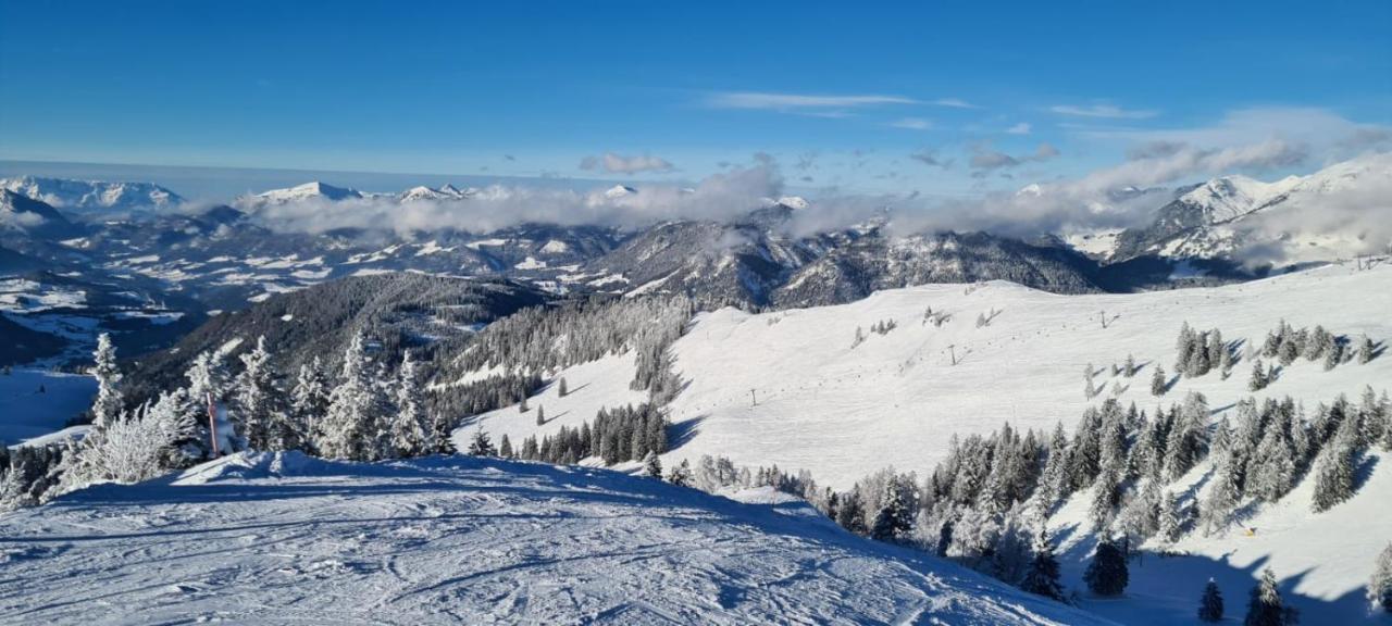 Alpenhaus Donnerkogel Lejlighed Annaberg im Lammertal Eksteriør billede
