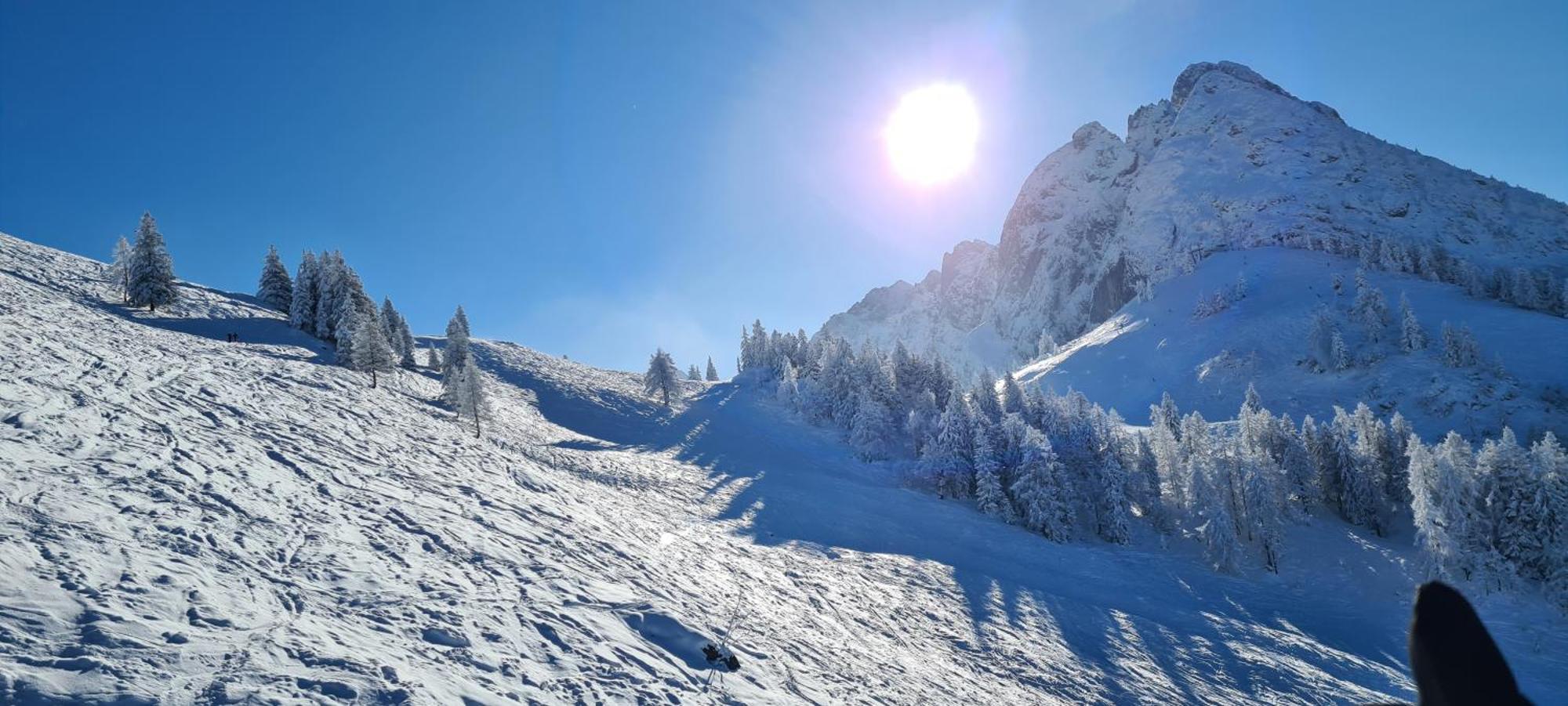 Alpenhaus Donnerkogel Lejlighed Annaberg im Lammertal Eksteriør billede